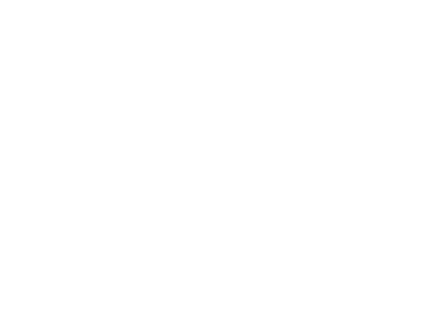 個性溢れる庭づくり