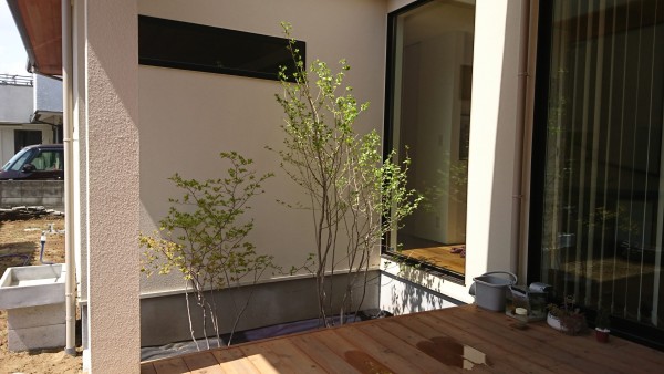 SD邸　植栽＆芝張りサムネイル